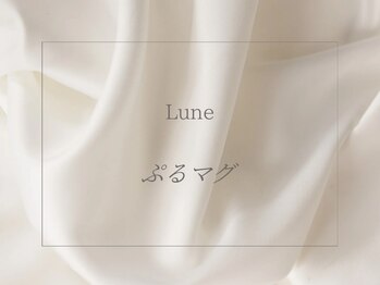 リュヌ(Lune)/くすみ系カラーのマグネット★