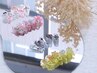  キャラクター、シリコンパーツつけ放題、  ¥7980