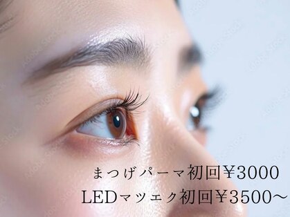ひよりの写真