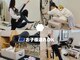ギークピラティスクラブ(GEEK PILATES CLUB)の写真
