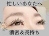 【ボリューム◎】 バインドロック 100束（人気）／オフ込 ￥9500→8500