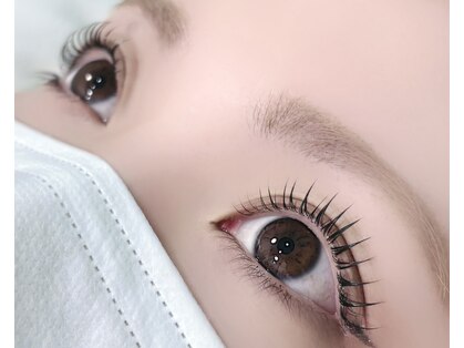 ベイビーブルー(Baby Blue)の写真