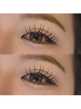 ソファー 国分寺(sofa)/アンドヘルシー 120本