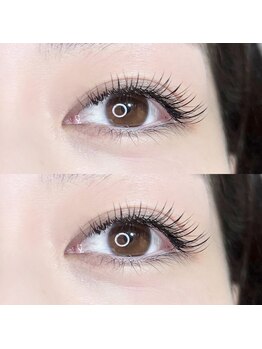 シルファ(sylpha)/フラットラッシュ160本