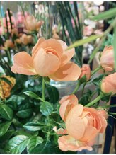 アロマホット上野店(Aroma Hot)&nbsp;koko 