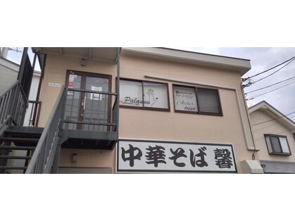 パラウヌ(palaunu)の写真