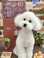 ヨサパーク 鶴見東口店(YOSA PARK) 愛犬トイプードルの【おもち】ちゃんです♪