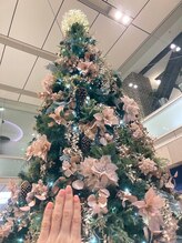 桃の木 吉祥寺店/コピス吉祥寺のクリスマスツリー