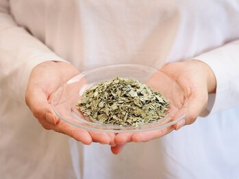 ルーシーガーデン(LUCY GARDEN)/オプション●クマザサ