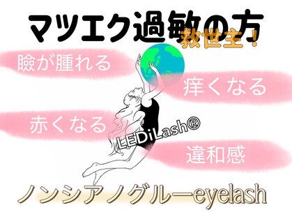 フェリマ ナナ(felyma vii)の写真