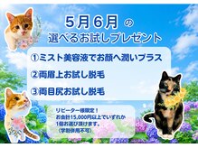 脱毛サロン リッカ(Lycka)の雰囲気（5月6月は★ミスト美容液★眉上脱毛★目尻脱毛から1つ選択！）