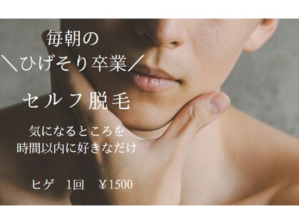 陽だまりの写真