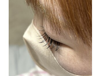 キャンディベース ノースアップ(Candybase North up)/フラットラッシュ100本