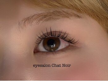 シャノワール(Chat Noir)/LEDフラットラッシュ100本