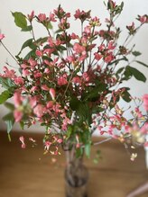 アロマルーム 柚/