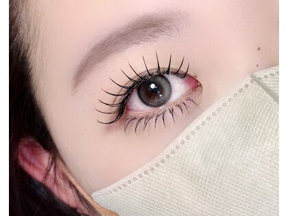 ベイビーブルー(Baby Blue)の写真