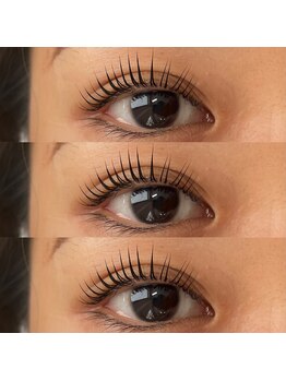 バンクィッシュ(vanquish)/パリジェンヌ/ラッシュリフト