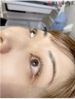 ボアソルチ(BOA SORTE)/立ち上げカール