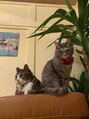 レパード&nbsp;愛猫に癒される日々♪地域保護猫活動もしています(=^・^=)