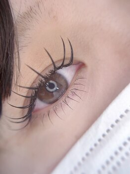 ポイソン(POISSON)/【eye】下まつ毛パーマ