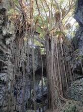 サンティ 南森町店&nbsp;Ishimoto 
