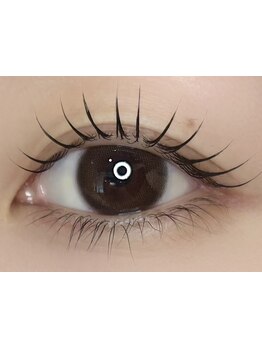 初めての方にオススメ