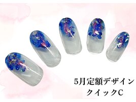 5月定額デザイン