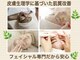 エクラの写真
