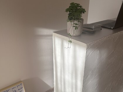 リット(Lit.)の写真