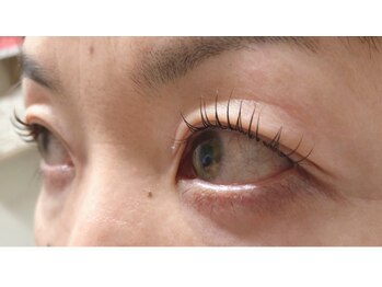 フェアリーヘア ニーナ(Fairy Hair Ni-na)/まつ毛パーマ【ラッシュリフト】