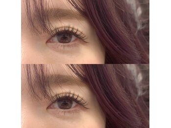 レア(le'a)/ダブルフラット 120束