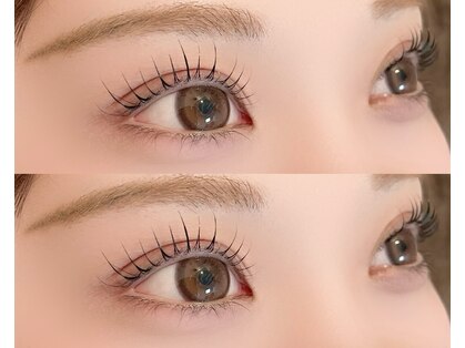 シフォン(Chiffon)の写真
