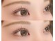 シフォン(Chiffon)の写真