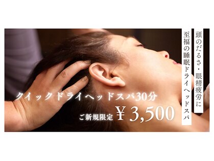 イロハ(iroha)の写真