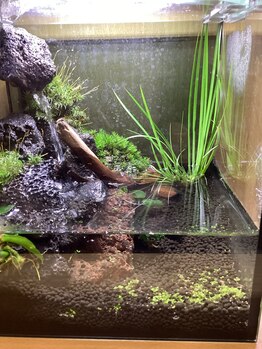 もみほぐしのらく天 上田店/