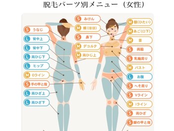 マハロ(MAHALO)/レディースの部位別表です。