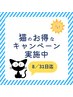 ｛期間限定｝気分爽快リフレッシュ！ヘッドスパ40分￥4400/炭酸泡付