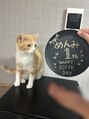 テラス ソア(Terrace soar) めんみ♂ビビりの甘えん坊。名前を呼ぶと犬のように走ってくる。