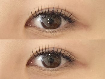 エルドット 八尾店(L.)/フラットラッシュ180本