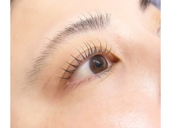 ロータス(Lotus)/