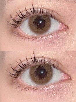 トゥーラッシュ バイ ビーハ(toolash by beha)/