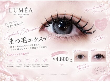 ルメア(LUMEA)の写真