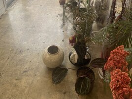 new.ed/oska/minamisemba