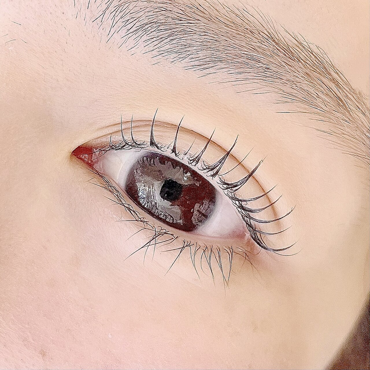 パリジェンヌラッシュリフトorまつげパーマ