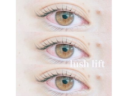 ジェム(gem.)の写真