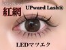 【-紅網-ワンホンデザイン】アップワードラッシュ＋LEDマツエク140本