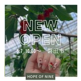 ホープオブナイン(Hope of nine)