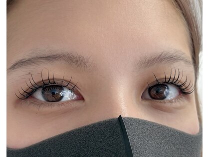 ティーツリー(tea tree)の写真