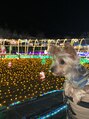 マハロ(Mahalo) お家にわんちゃんがいます♪