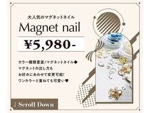 ルアナ 亀戸(Luana)/マグネットネイル